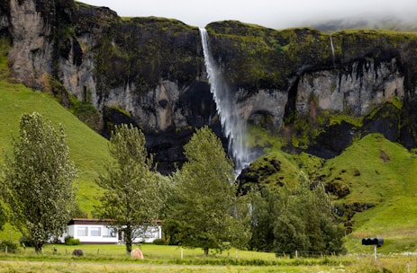 A scenic landscape featuring a white house surrounded by lush green grass and a few trees. In the background, a majestic waterfall cascades down a dark, rocky cliff. The cliffs exhibit patches of moss and lichen, contributing to the vibrant natural ambiance.