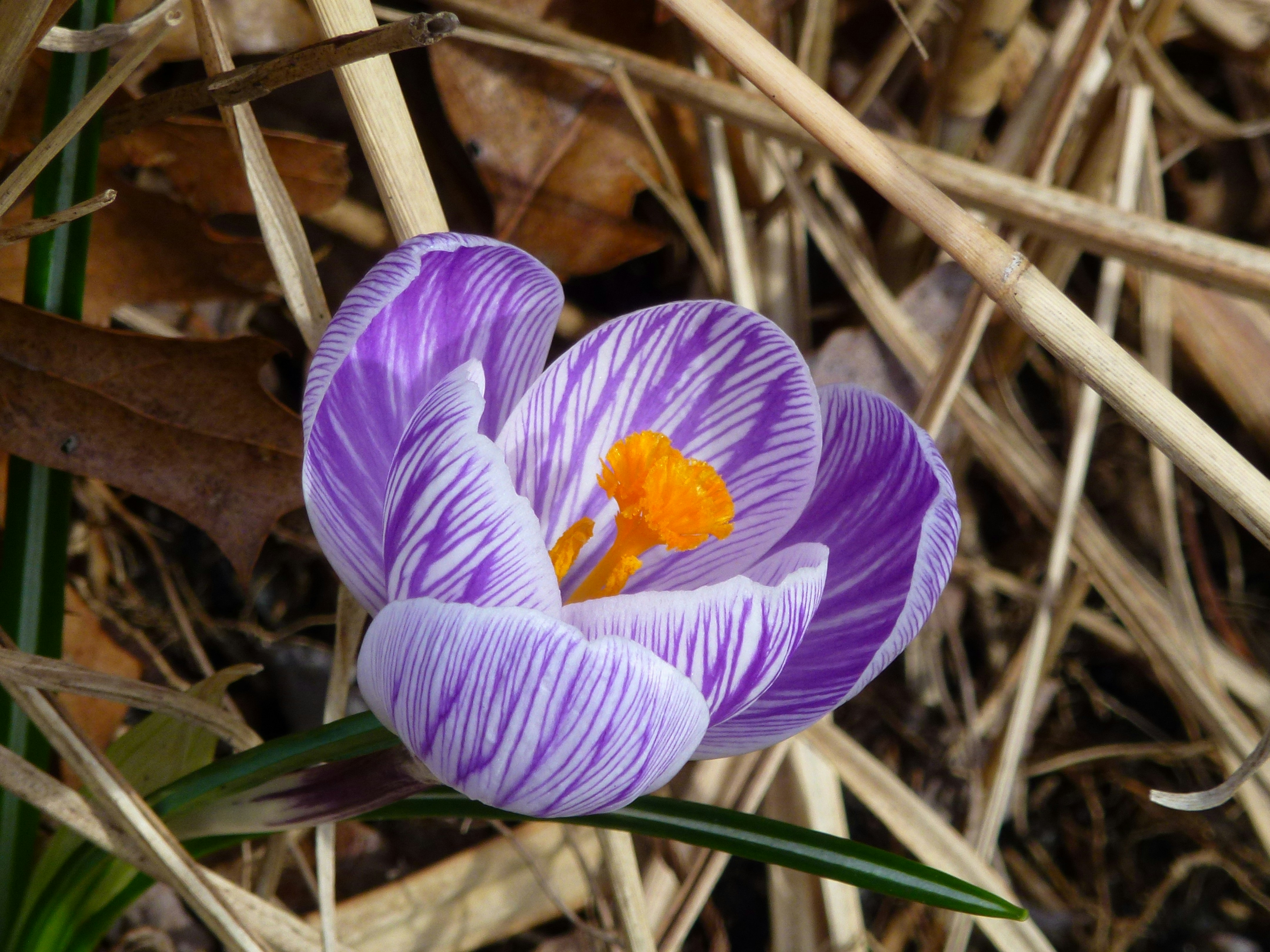 Photo by ann10