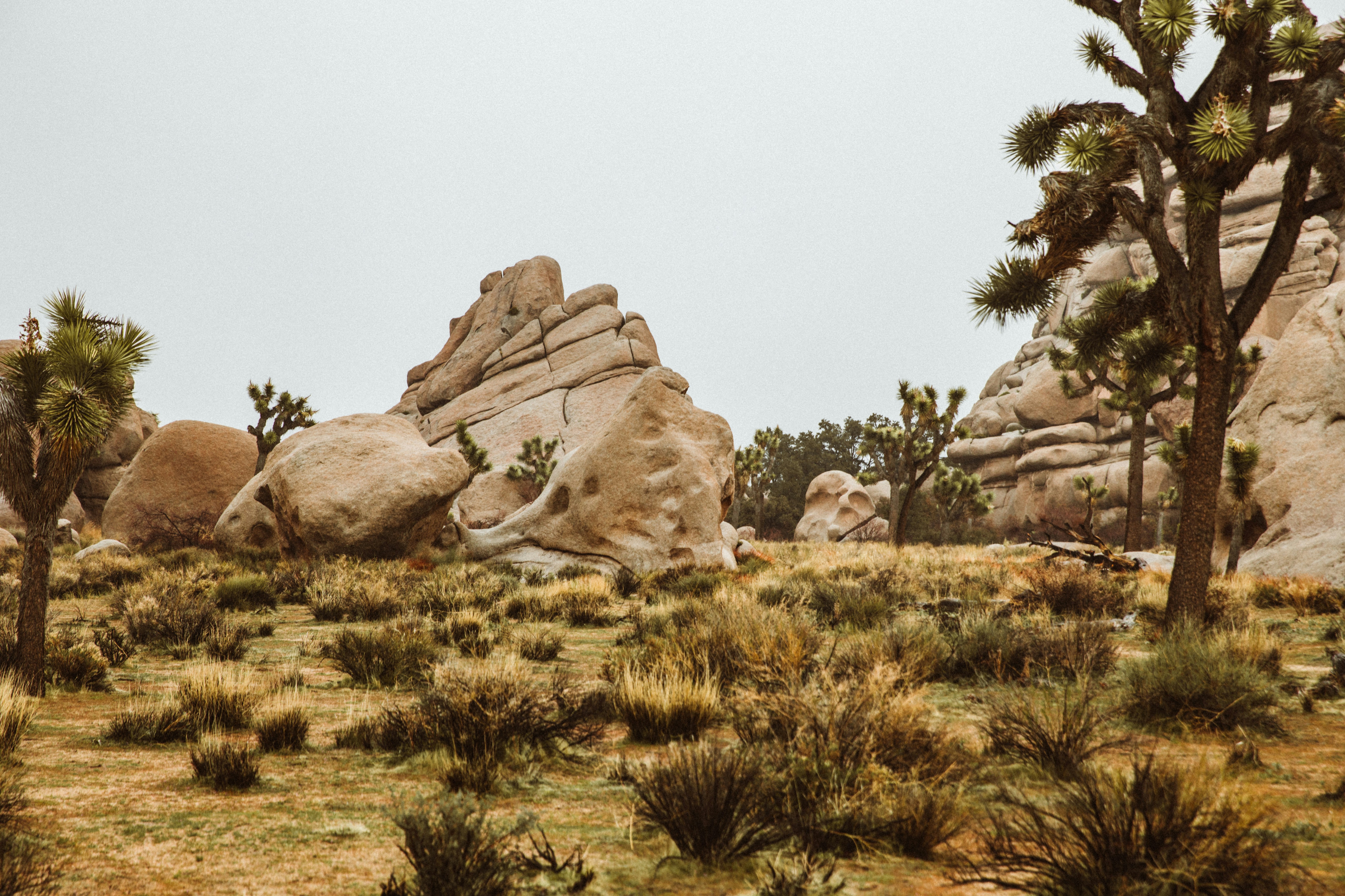 Photo by nate_dumlao