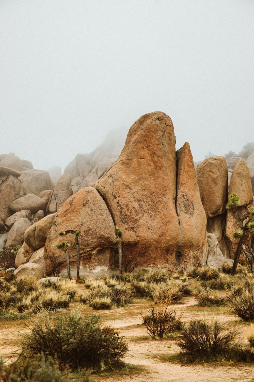 brown rock formation under white sky during daytime