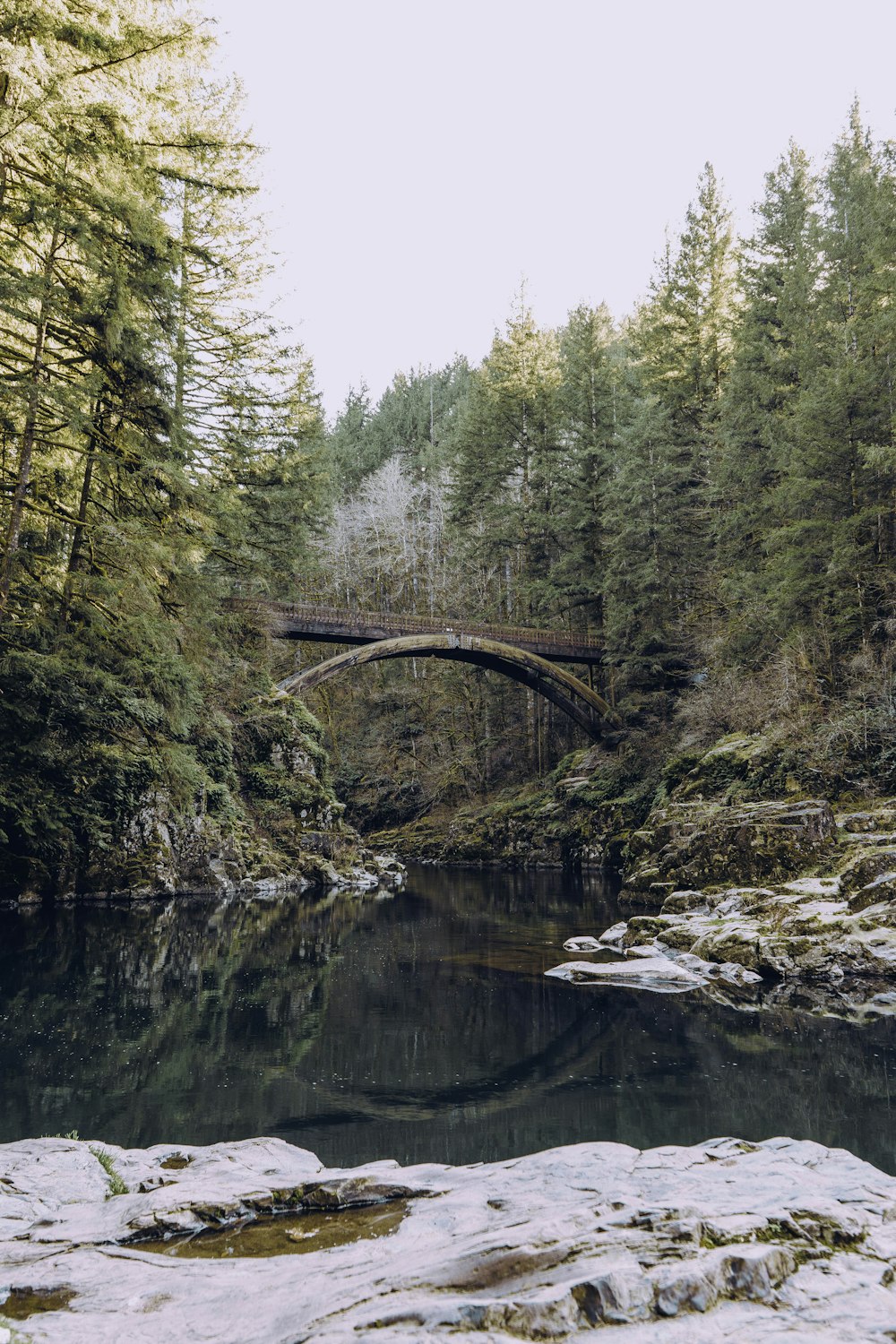 brown wooden bridge over river surrounded by green trees during daytime