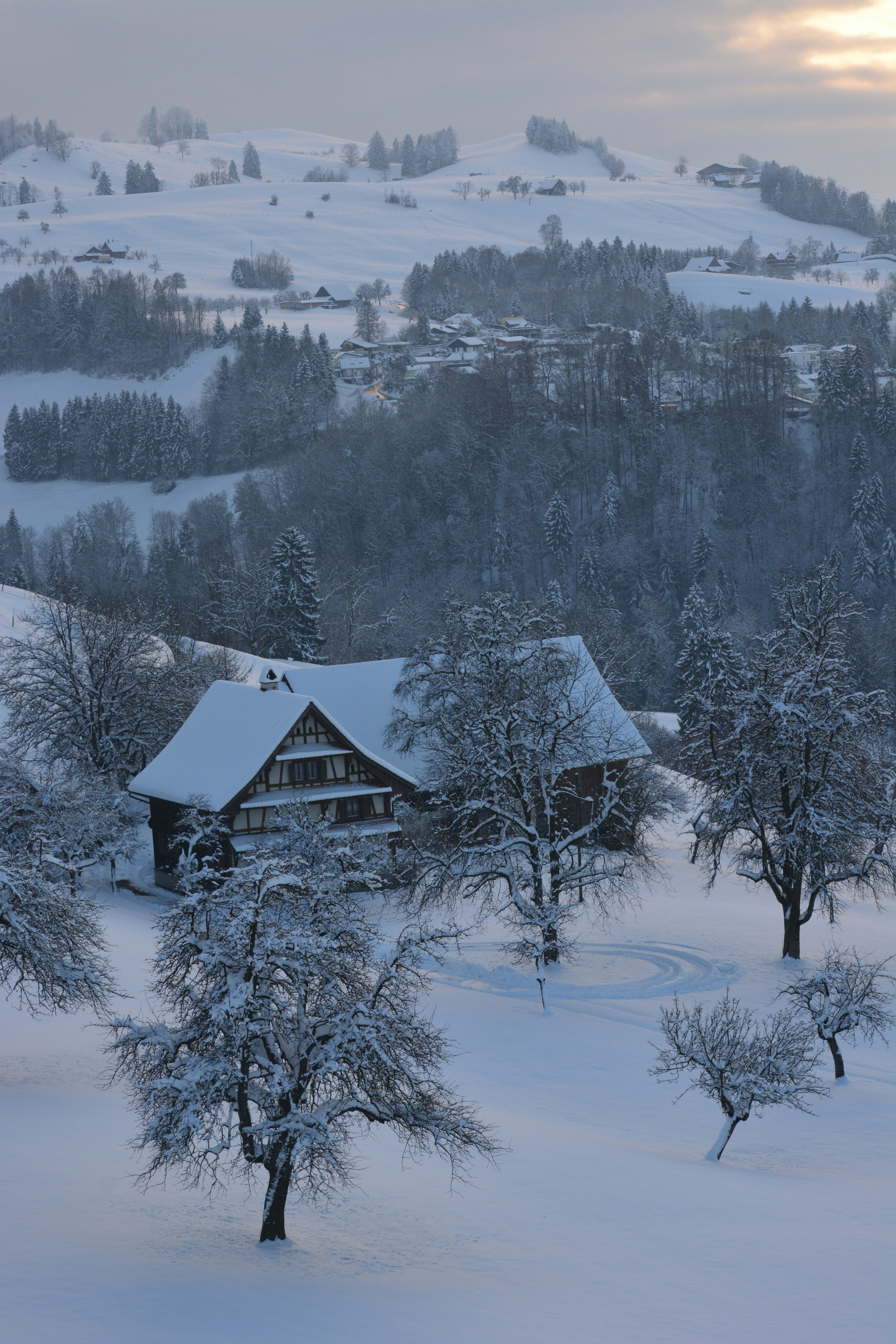 Photo by pedrino5_official