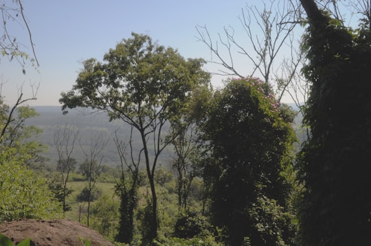 green trees on brown hill under blue sky during daytime in Brotas Brasil