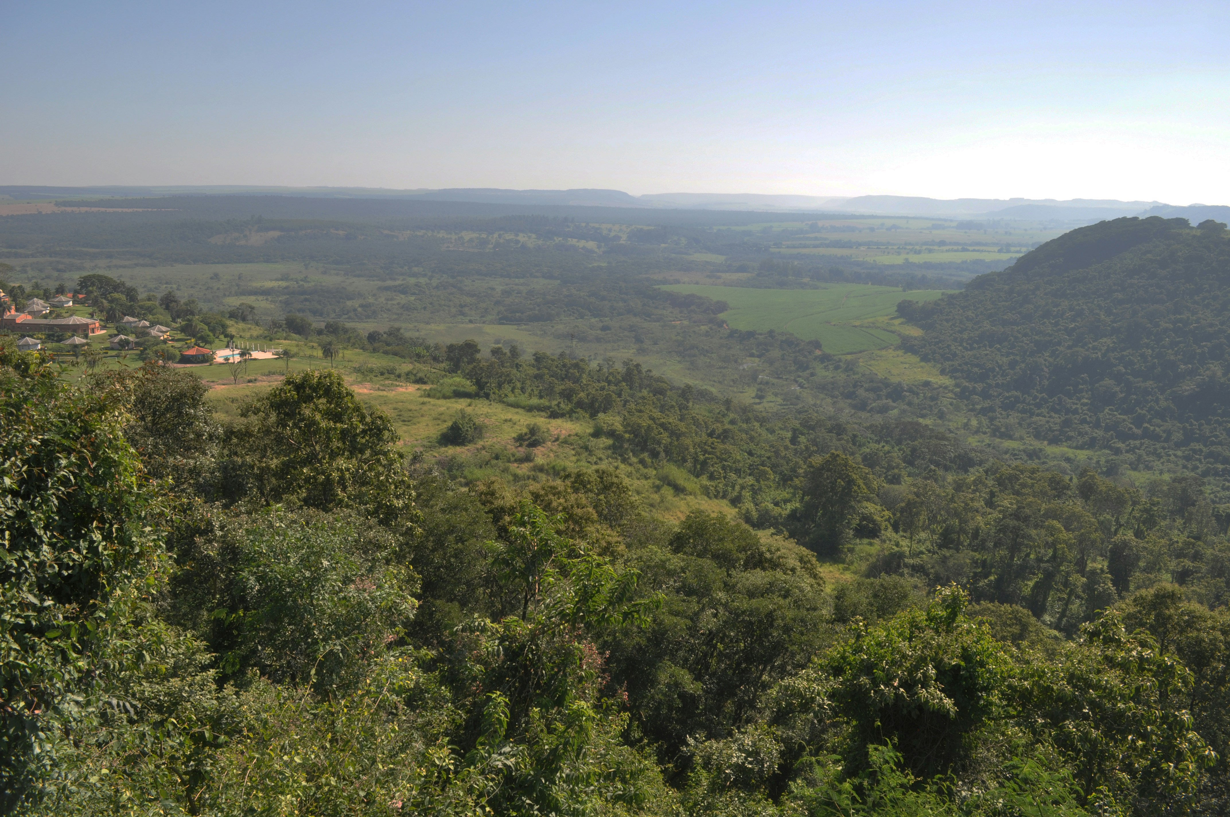 Bosque de Mirandópolis