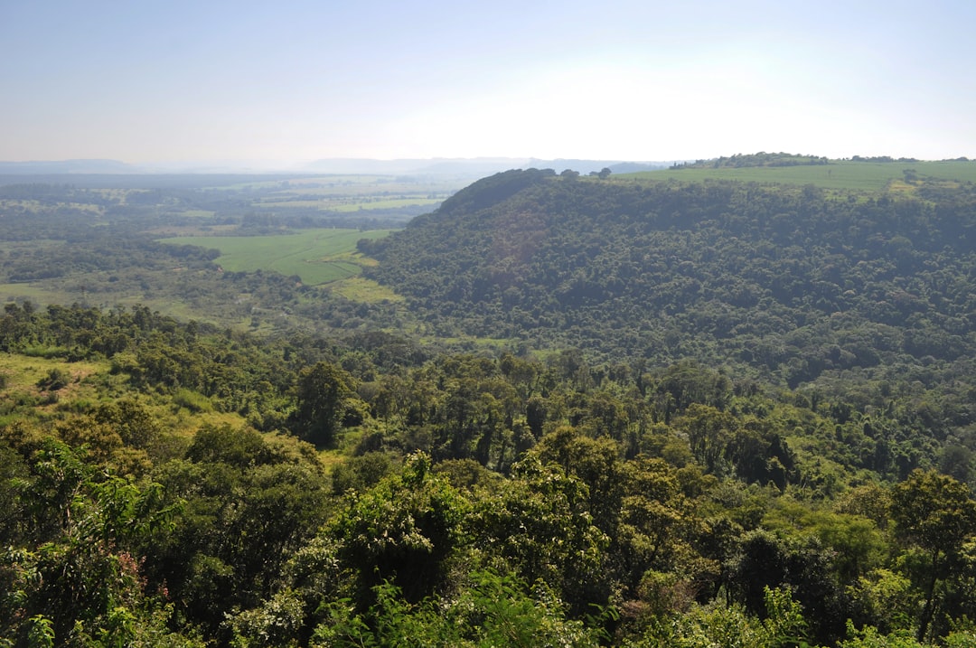 Tropical and subtropical coniferous forests photo spot Brotas Recanto das Cachoeiras Brotas - SP
