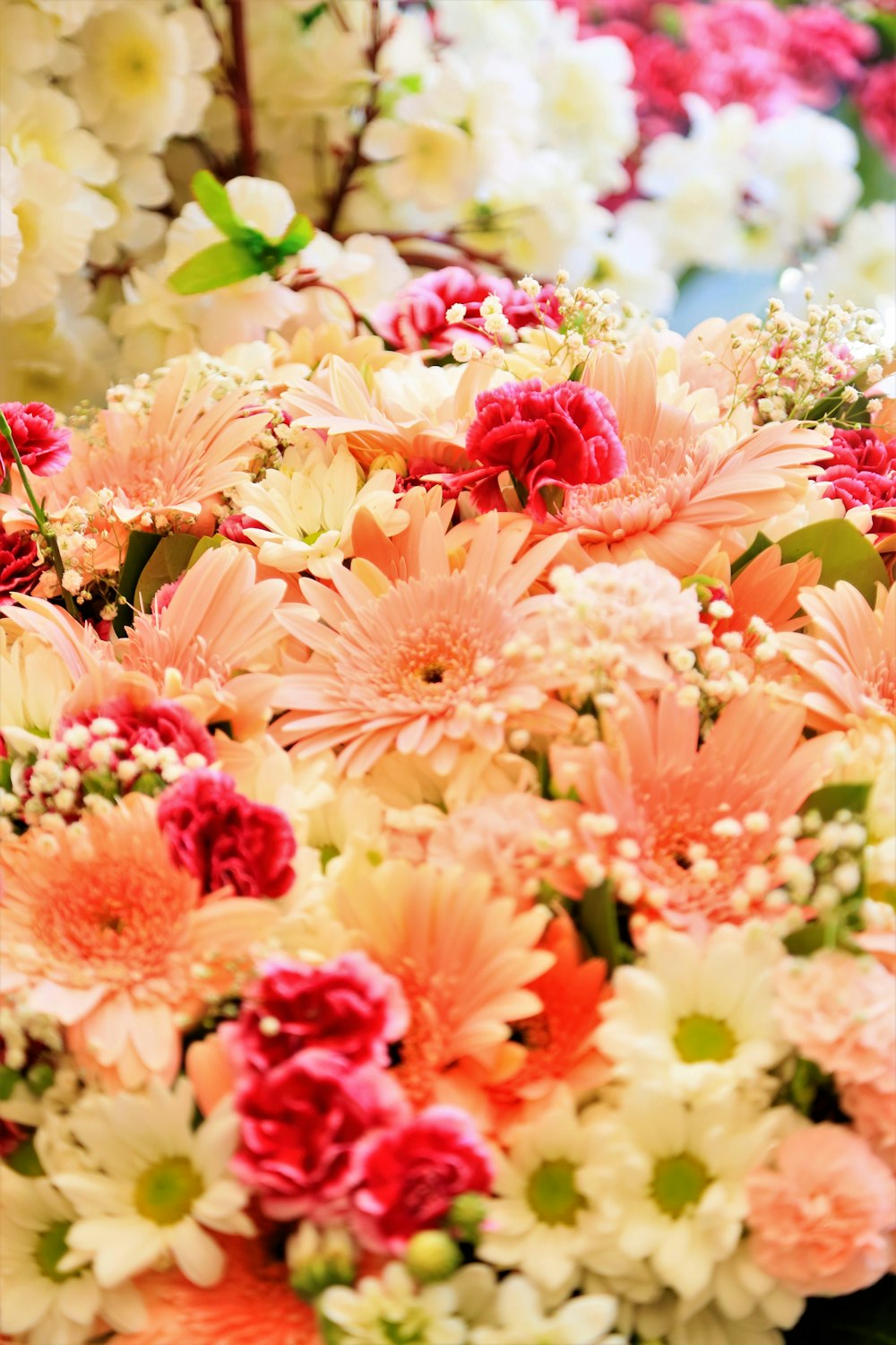 pink and yellow flowers during daytime