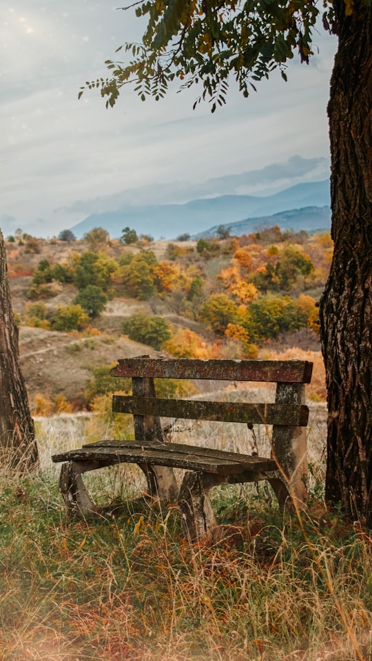 brown wooden bench on brown grass field during daytime in Dragasia Greece