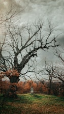 A large, leafless tree with sprawling branches dominates the foreground, set against a backdrop of autumnal foliage in shades of orange and brown. The sky is overcast, lending a moody and somber atmosphere. A small stone monument or structure is situated at the base of the tree, surrounded by grassy terrain.