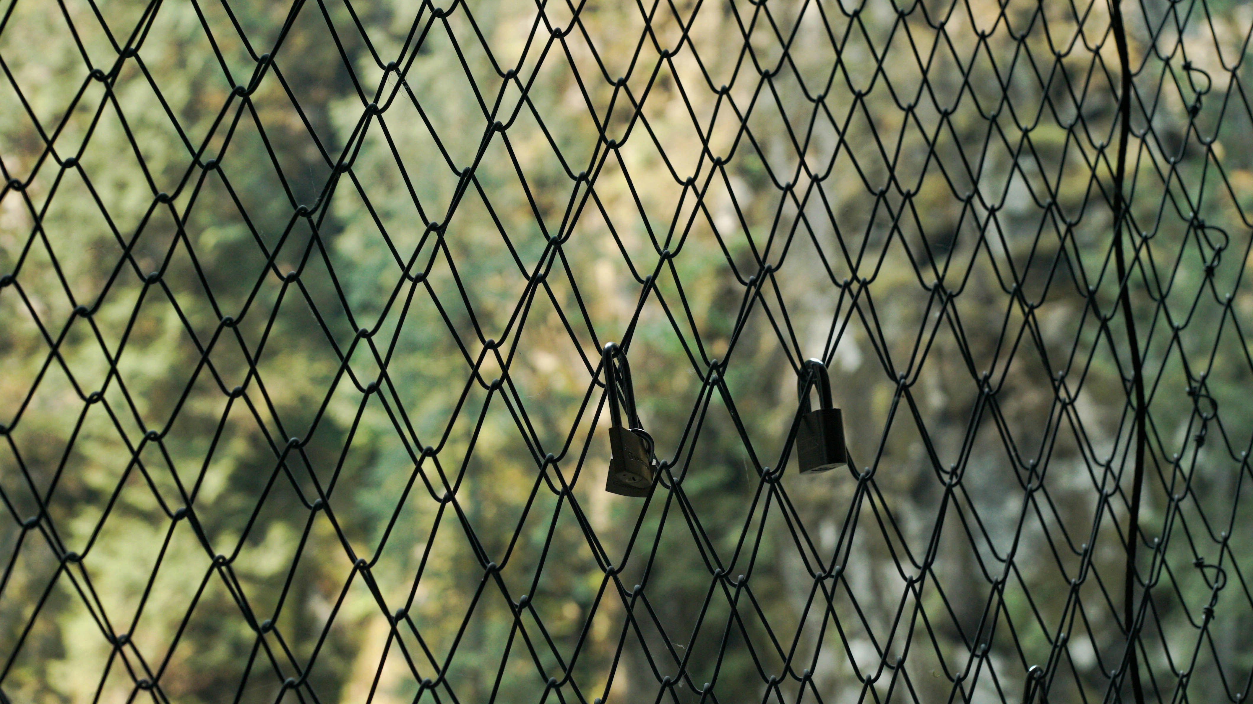 Padlocks on a fence in a park in British Columbia Canada.