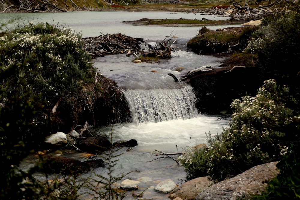 water falls on rocky shore during daytime