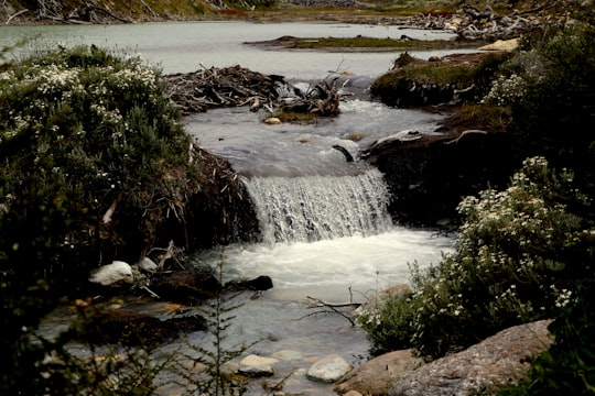 water falls on rocky shore during daytime in Ushuaia Argentina