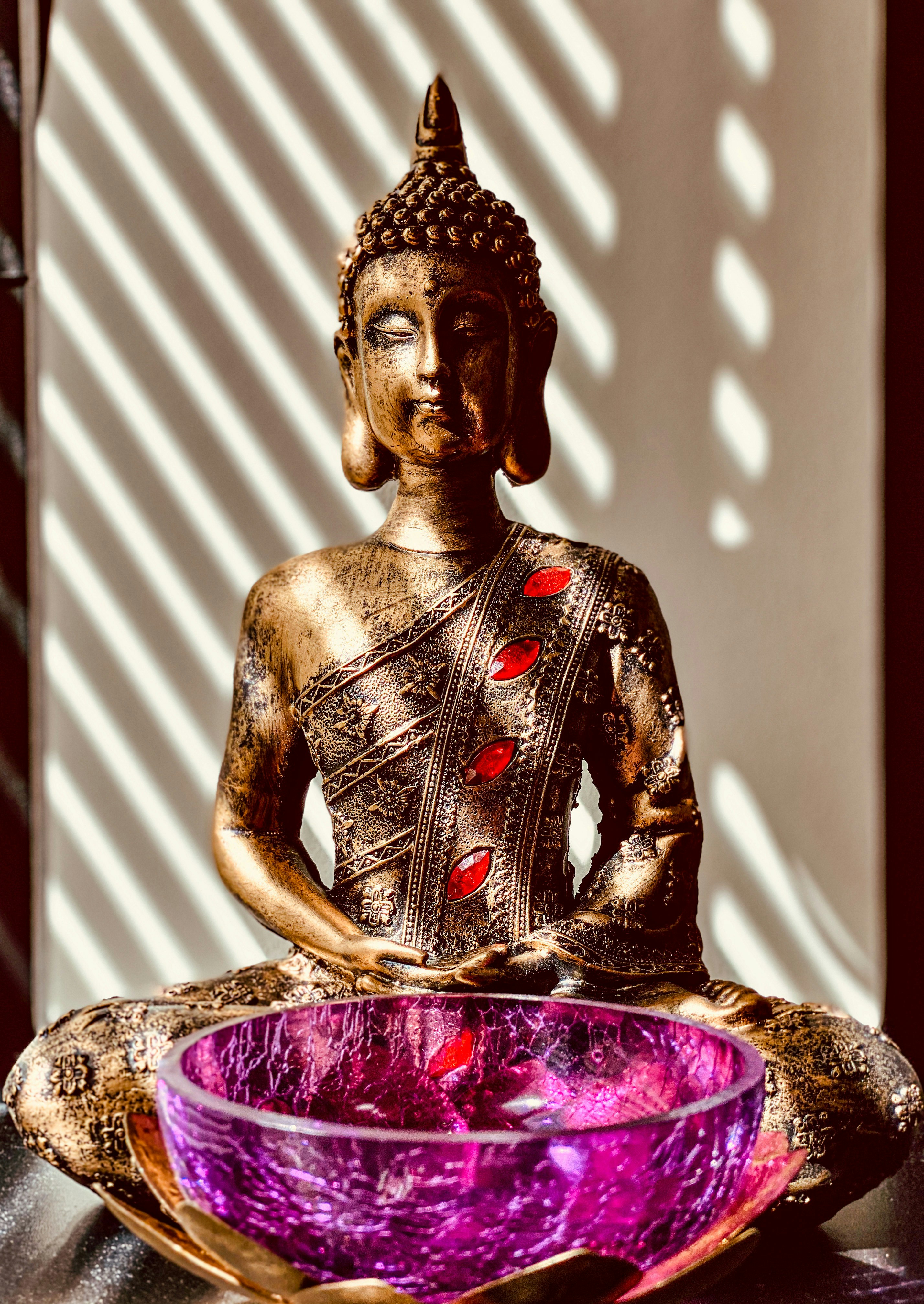 Photo by katuriakhila