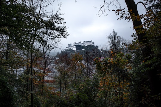 green trees under cloudy sky during daytime in Salzburg Austria