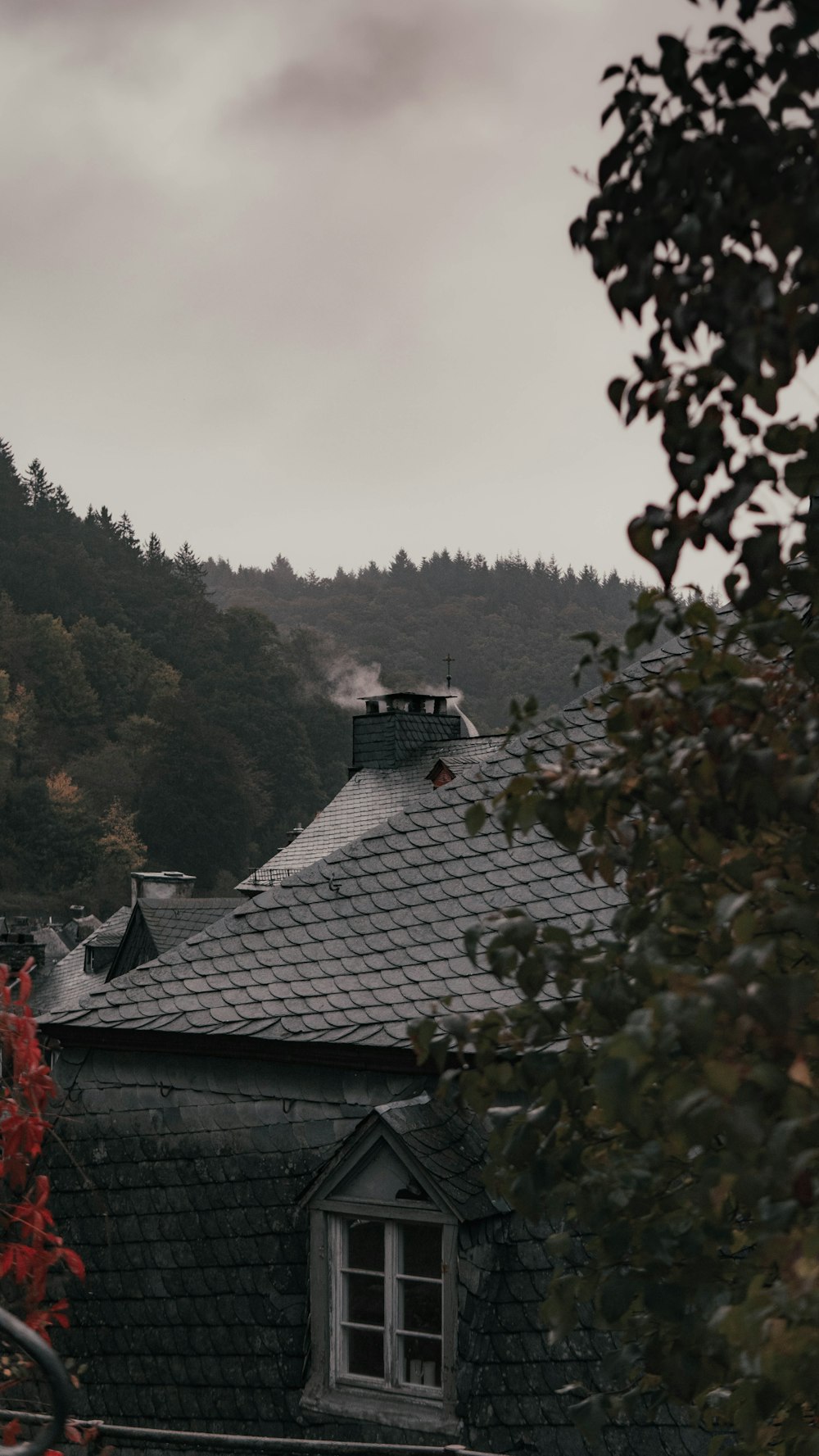 white and black house near green trees under white sky during daytime