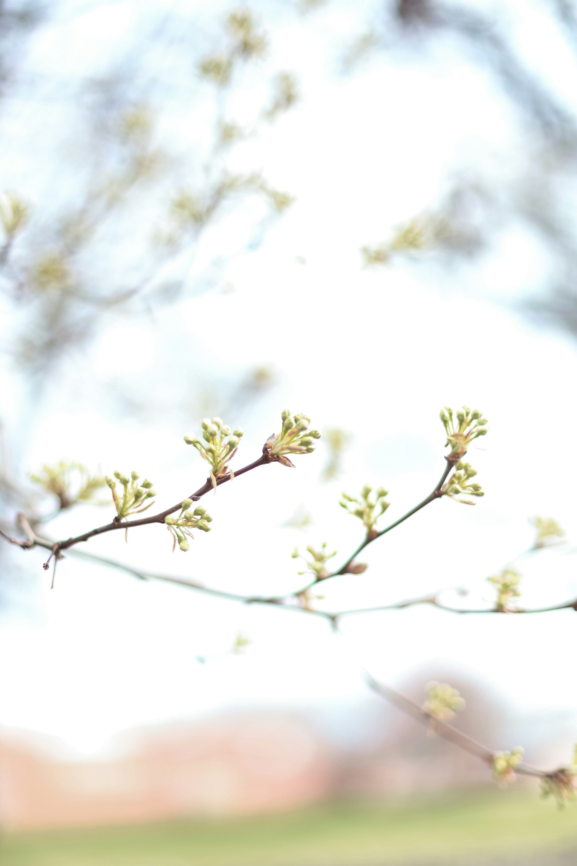 Photo by jessicalfadel