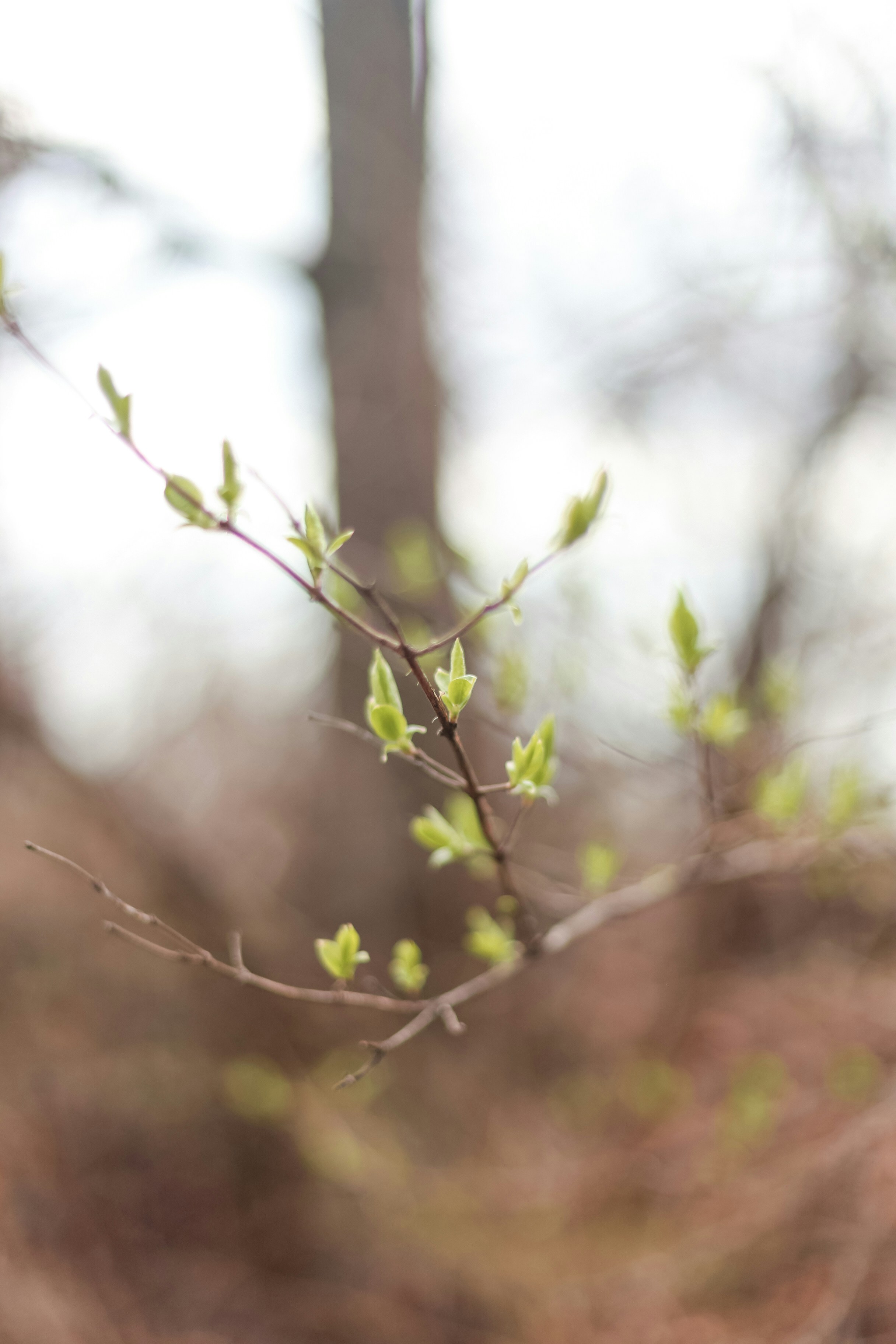 Photo by jessicalfadel