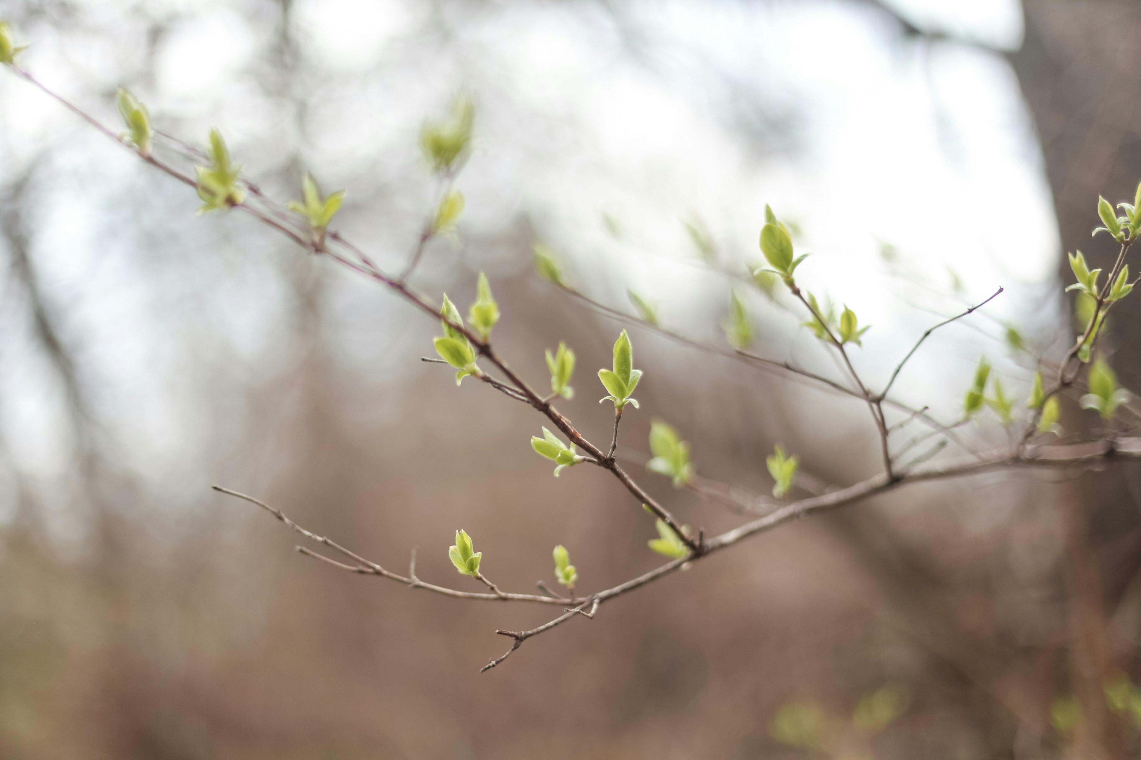 Photo by jessicalfadel