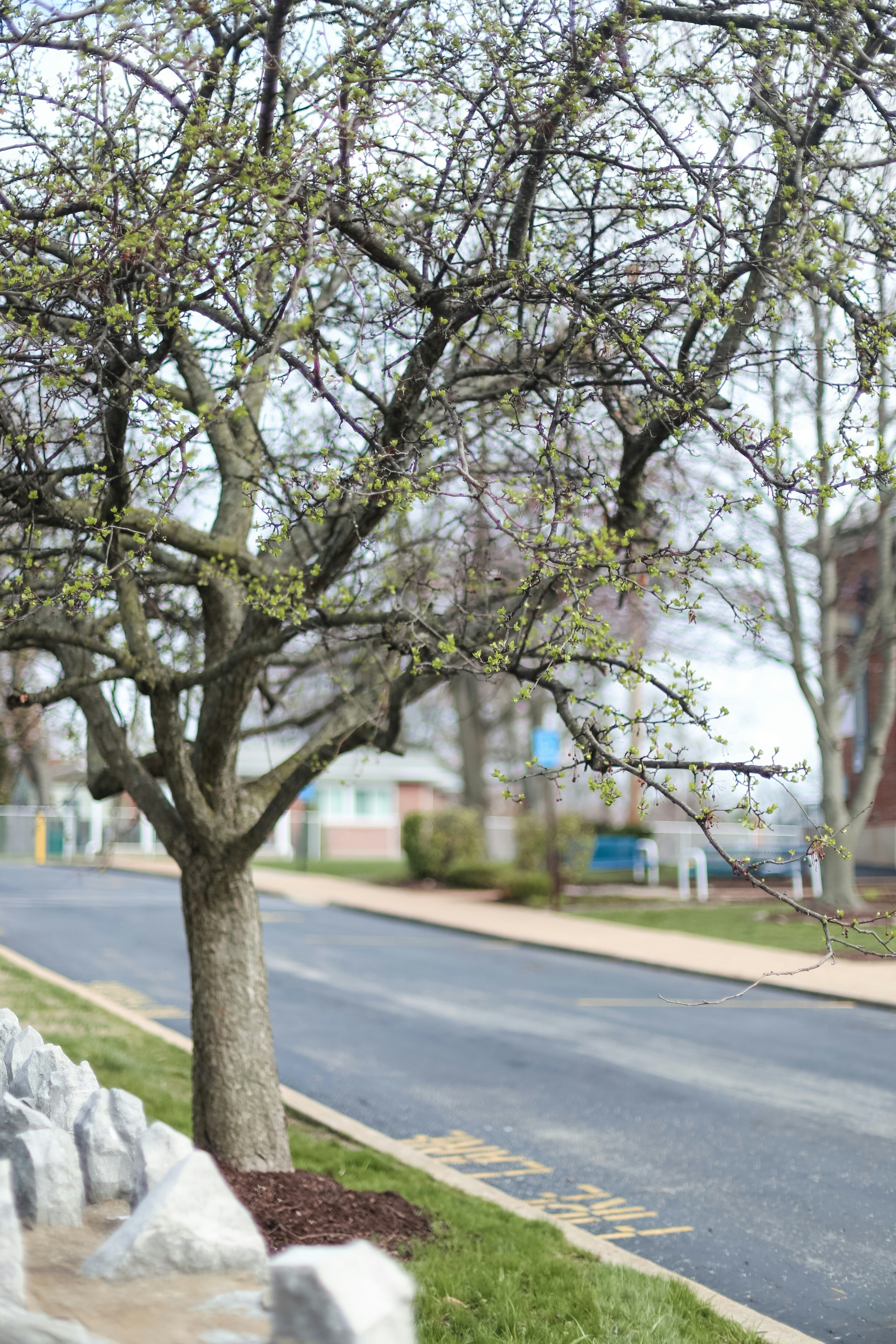 Photo by jessicalfadel