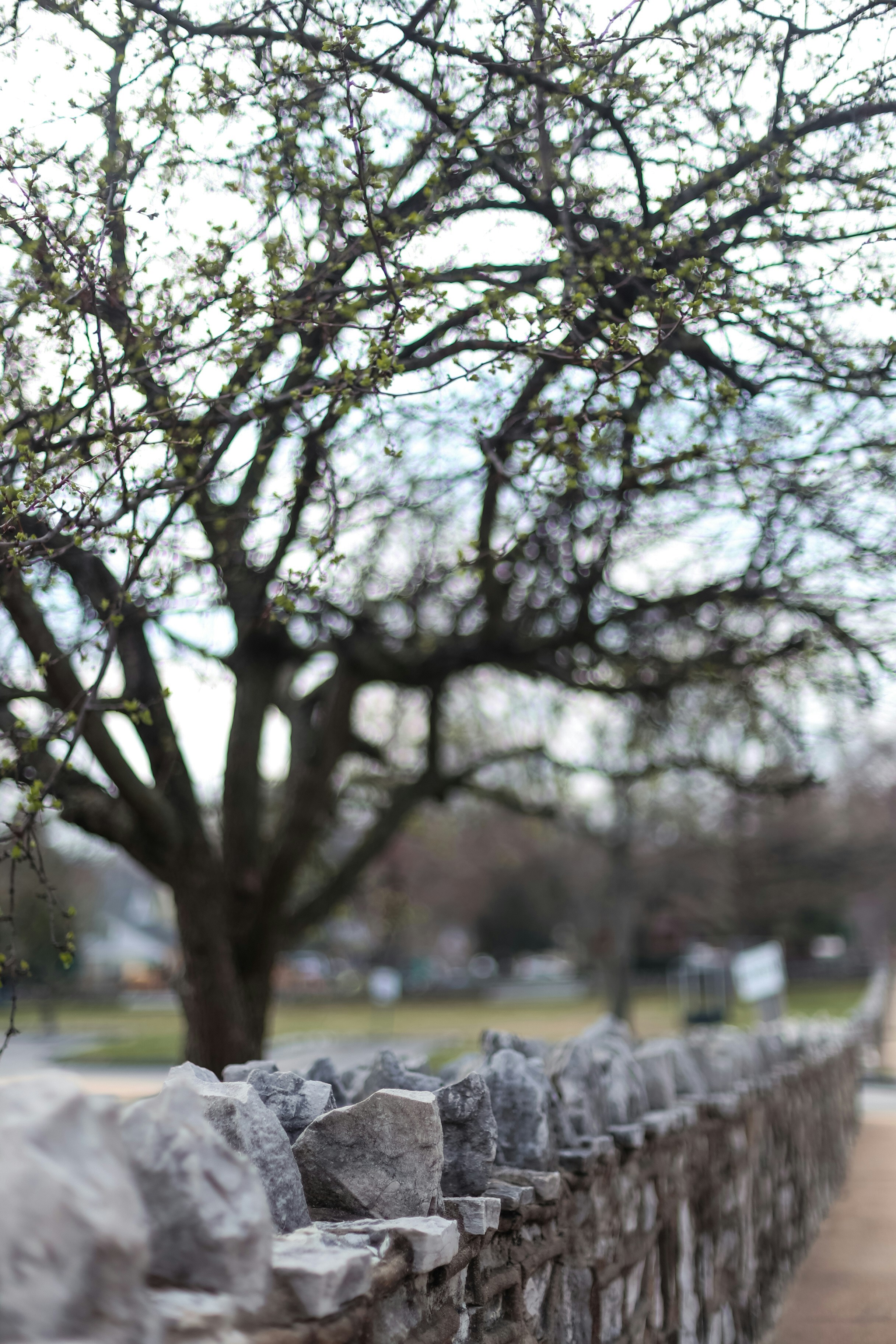 Photo by jessicalfadel