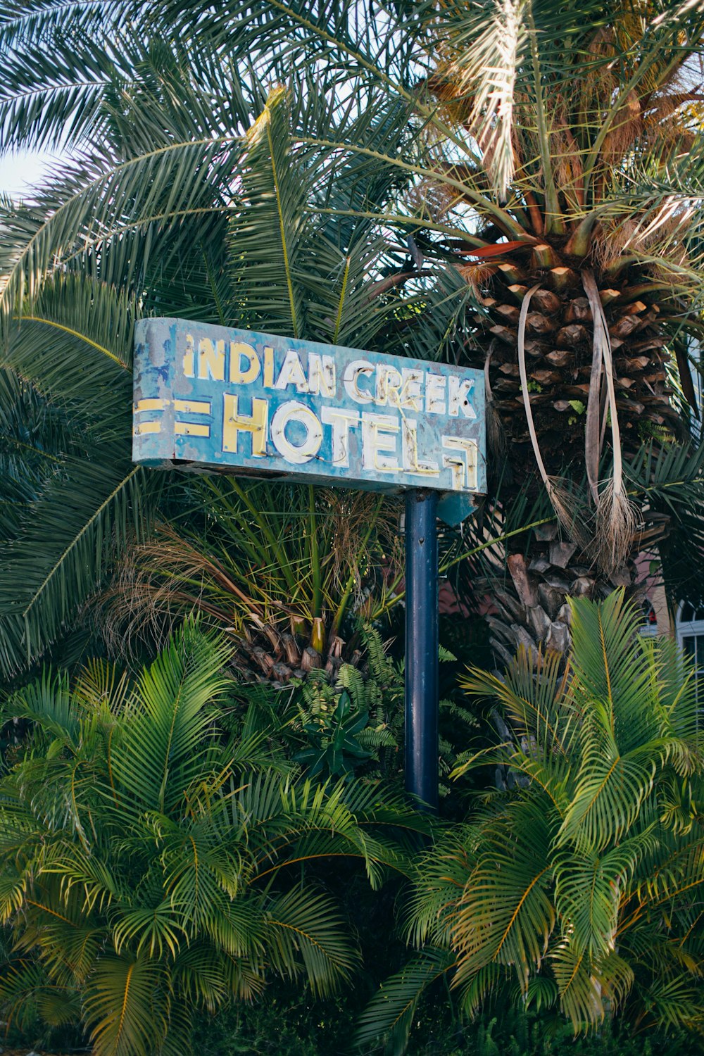 a hotel sign in front of a palm tree