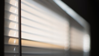 Sunlight softly filtered through tinted window film in a cozy living room.