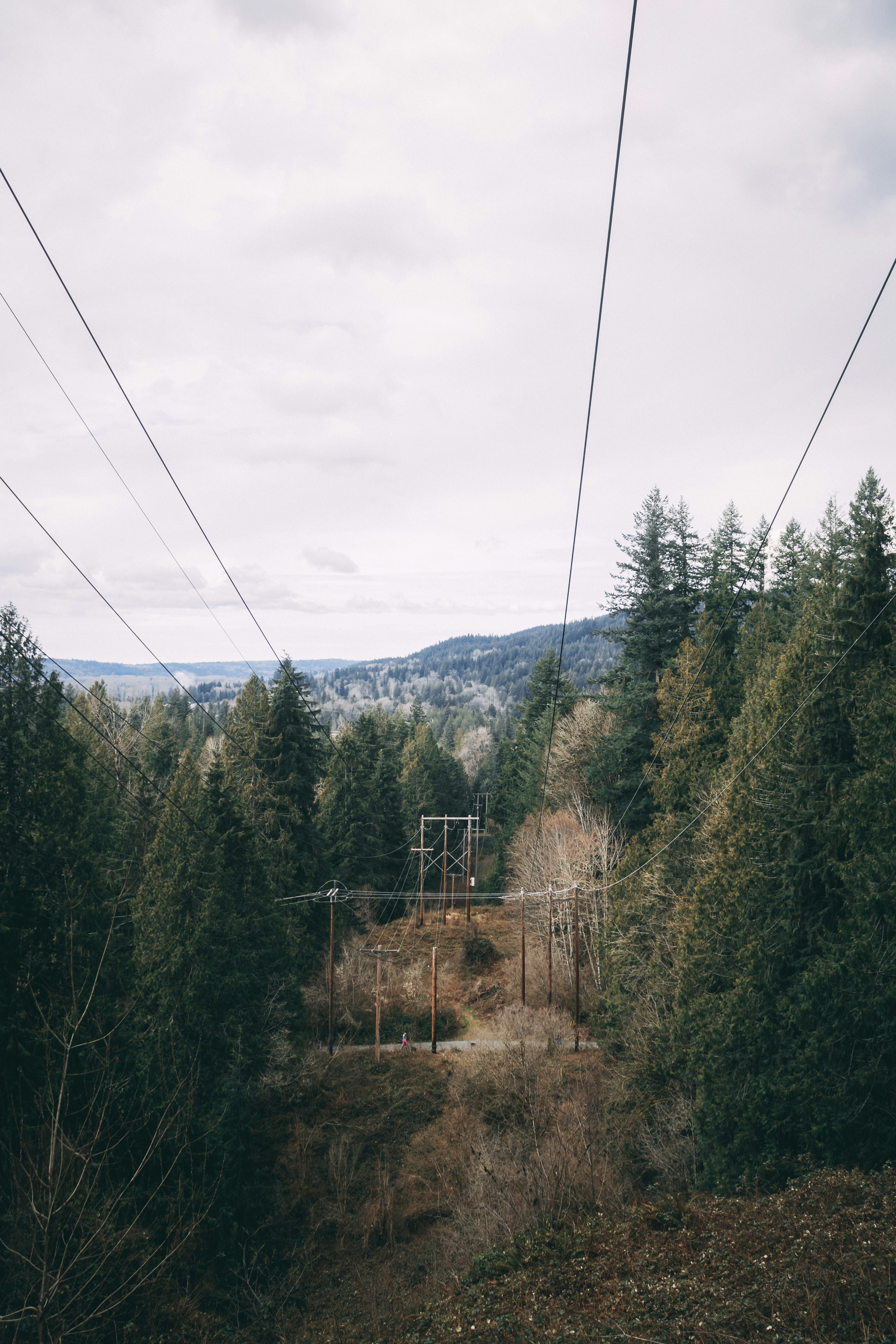 Photo by hiccupfromberk