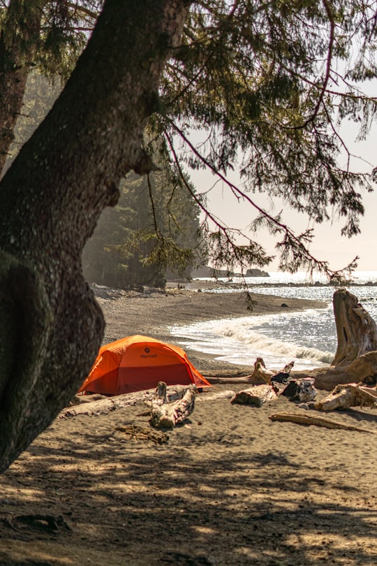 Sombrio Beach things to do in Juan de Fuca Provincial Park