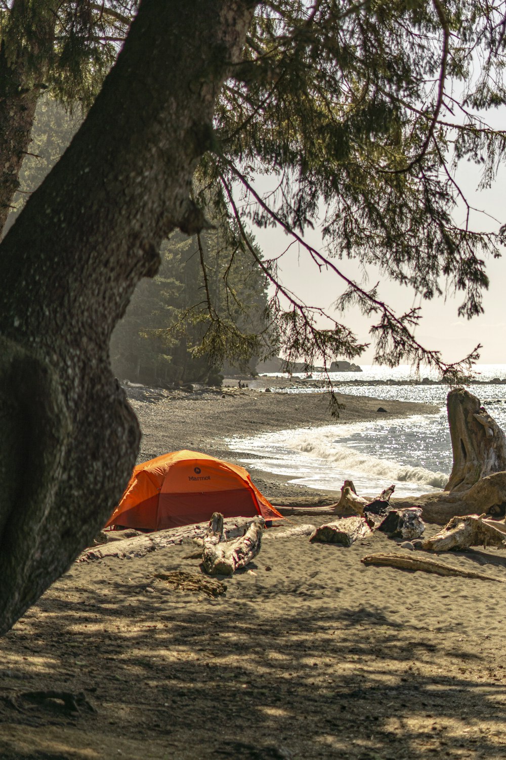 red tent on beach shore during daytime