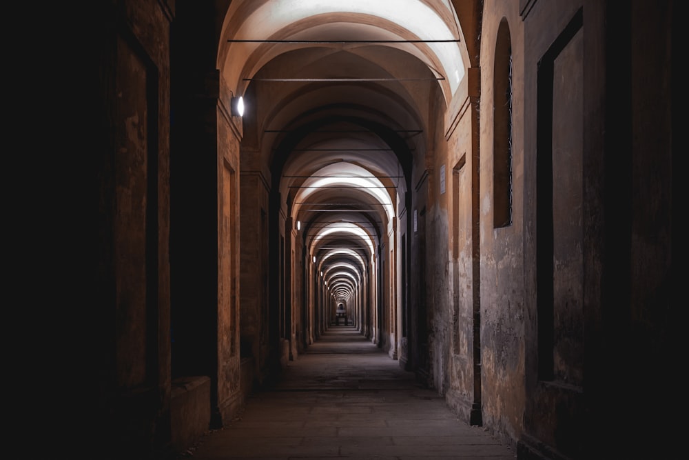 brown and white tunnel with light