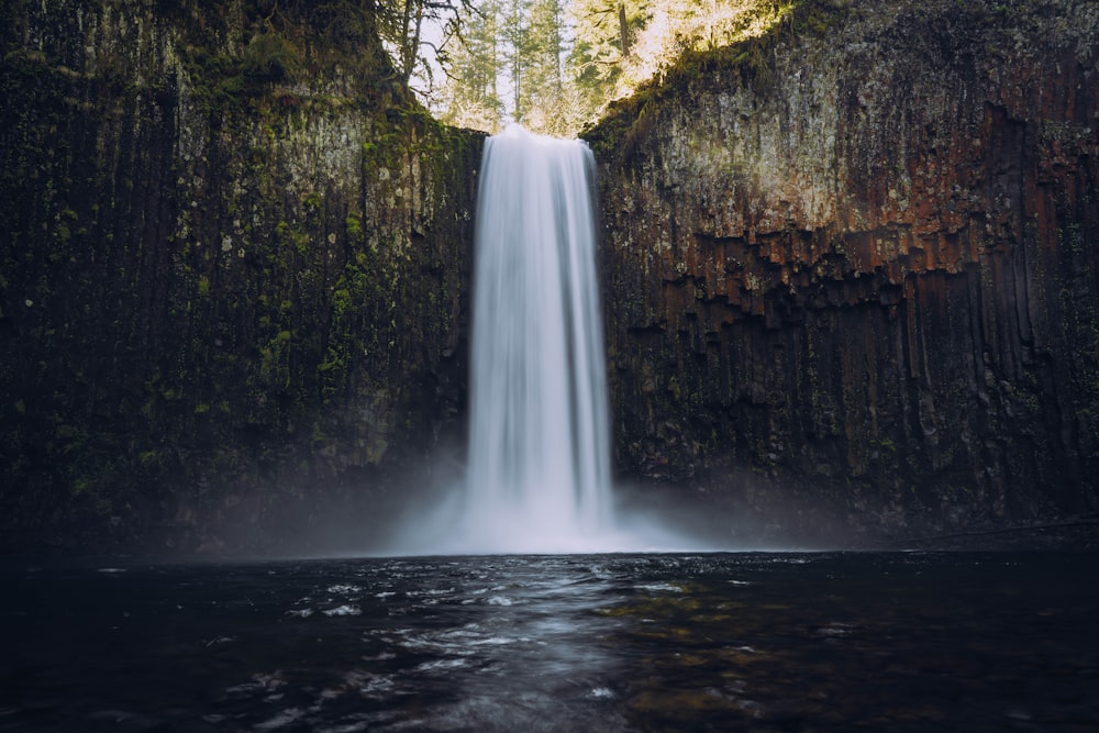 water falls in the middle of the forest