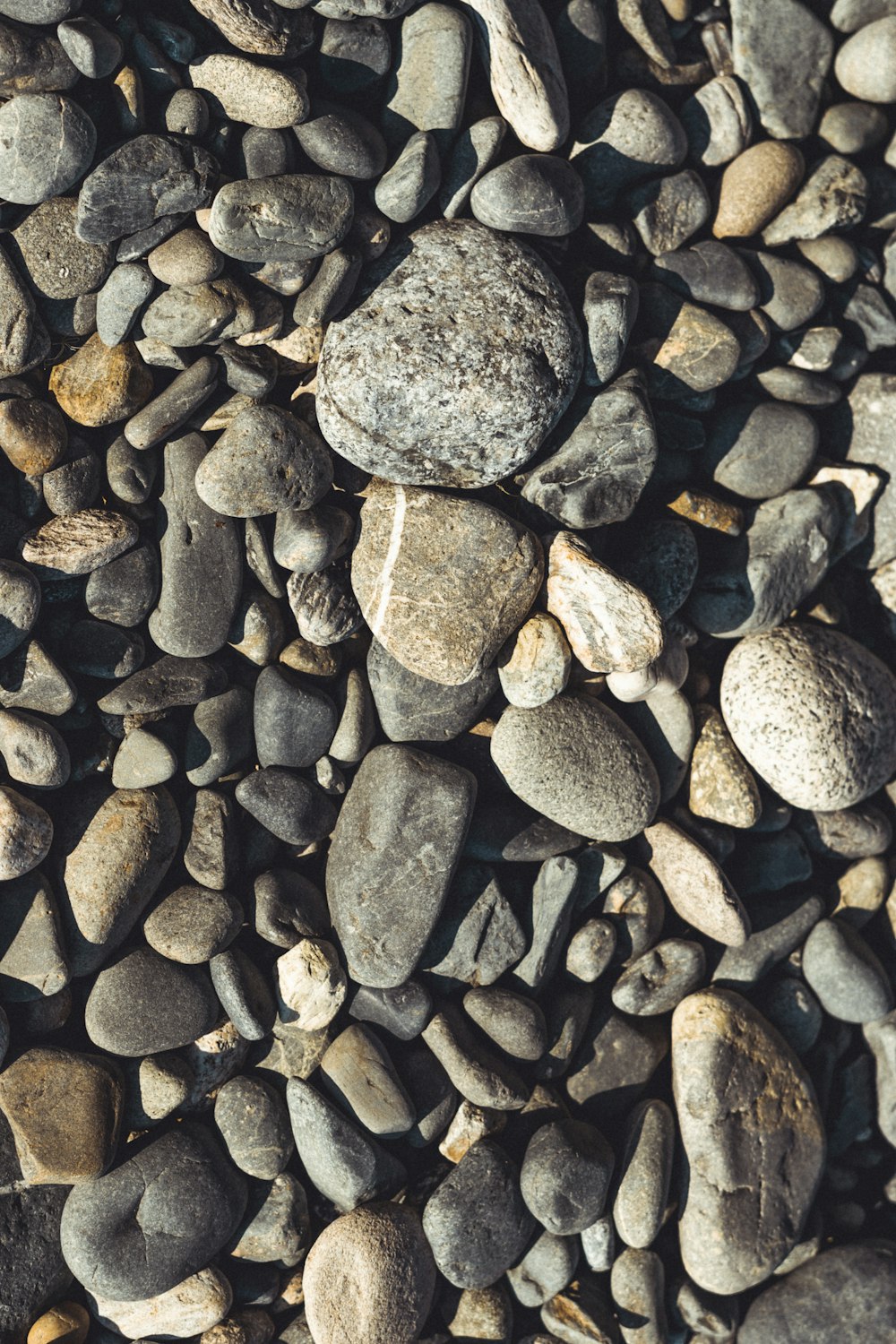 gray and black stone fragments