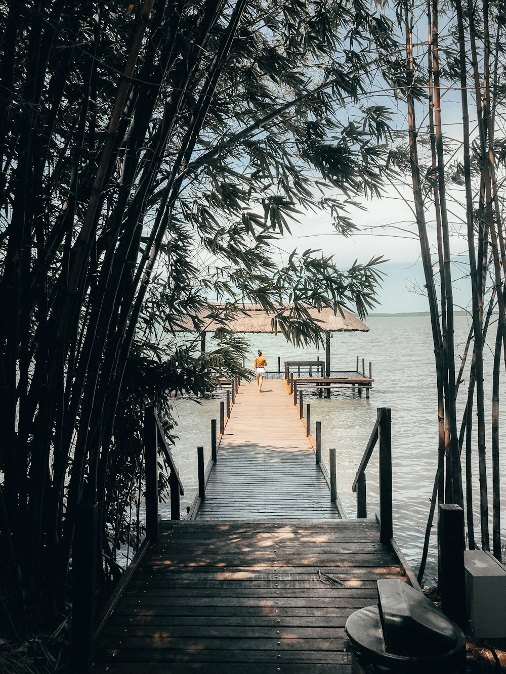 Muelle de madera marrón en el cuerpo de agua durante el día