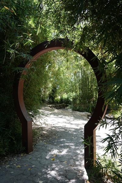 Bamboo Forest - From Hamilton Gardens, New Zealand
