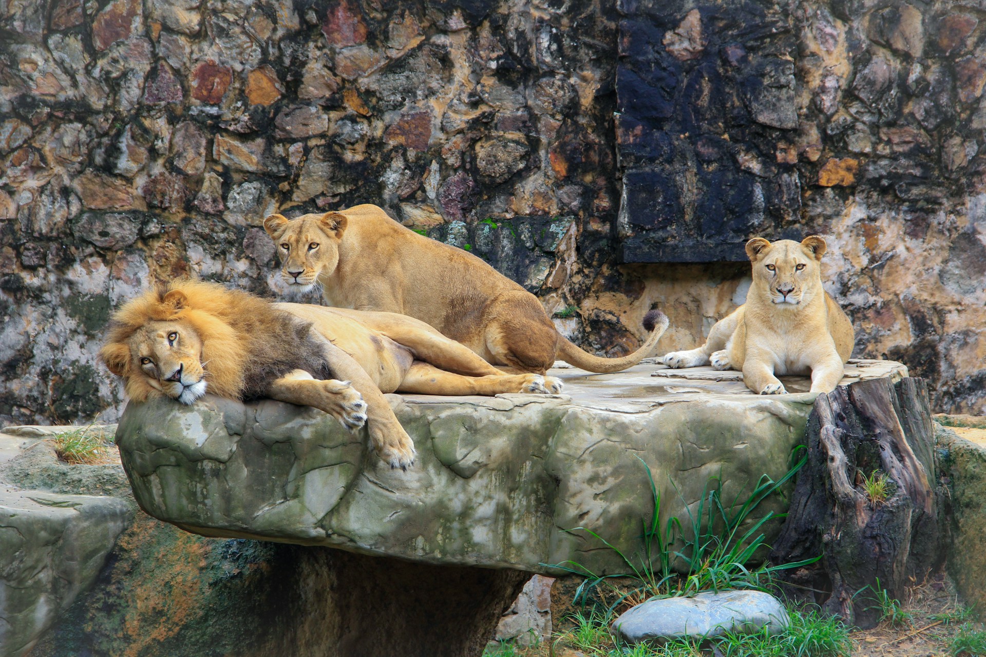 Vermont Zoos & Animal Parks