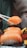 A close-up of several pieces of salmon sushi, with one piece being held by a pair of chopsticks above a decorative plate. The bright orange color of the salmon contrasts against the dark and intricate design of the plate.
