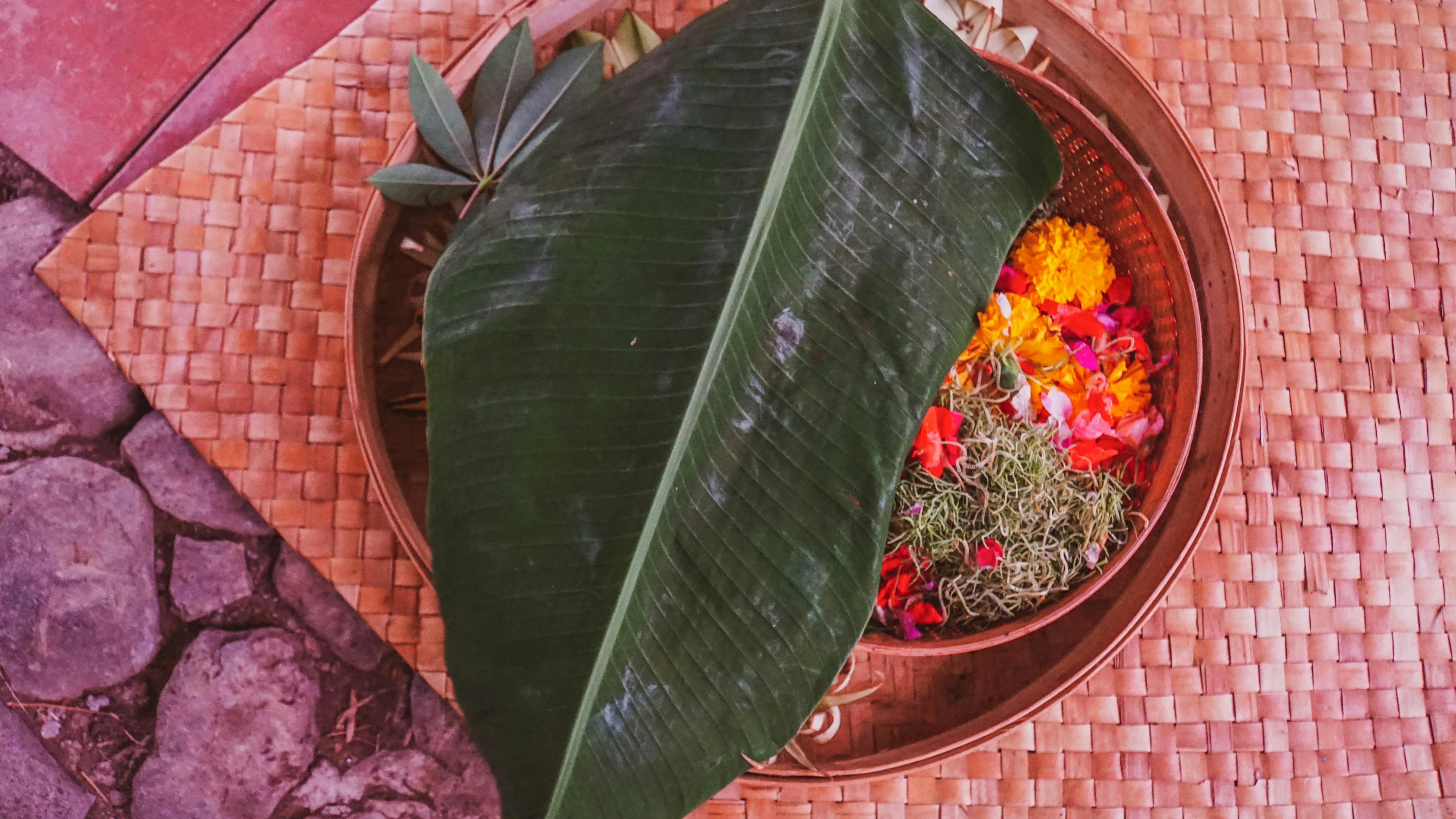 colorful puja thali flowers sindoor banyan tree worship