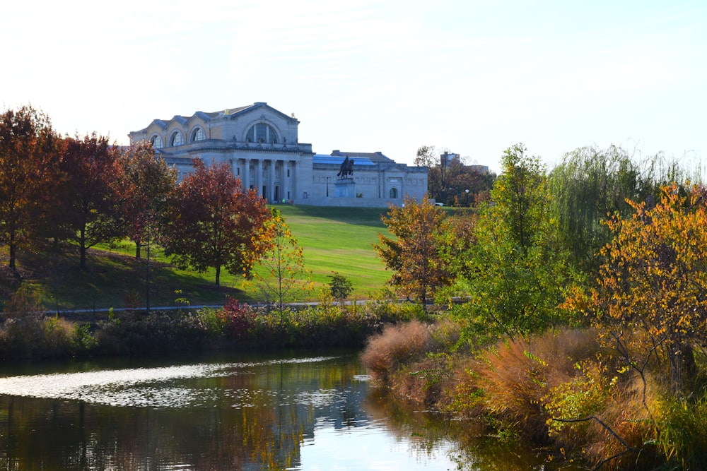 green trees near river and building during daytime