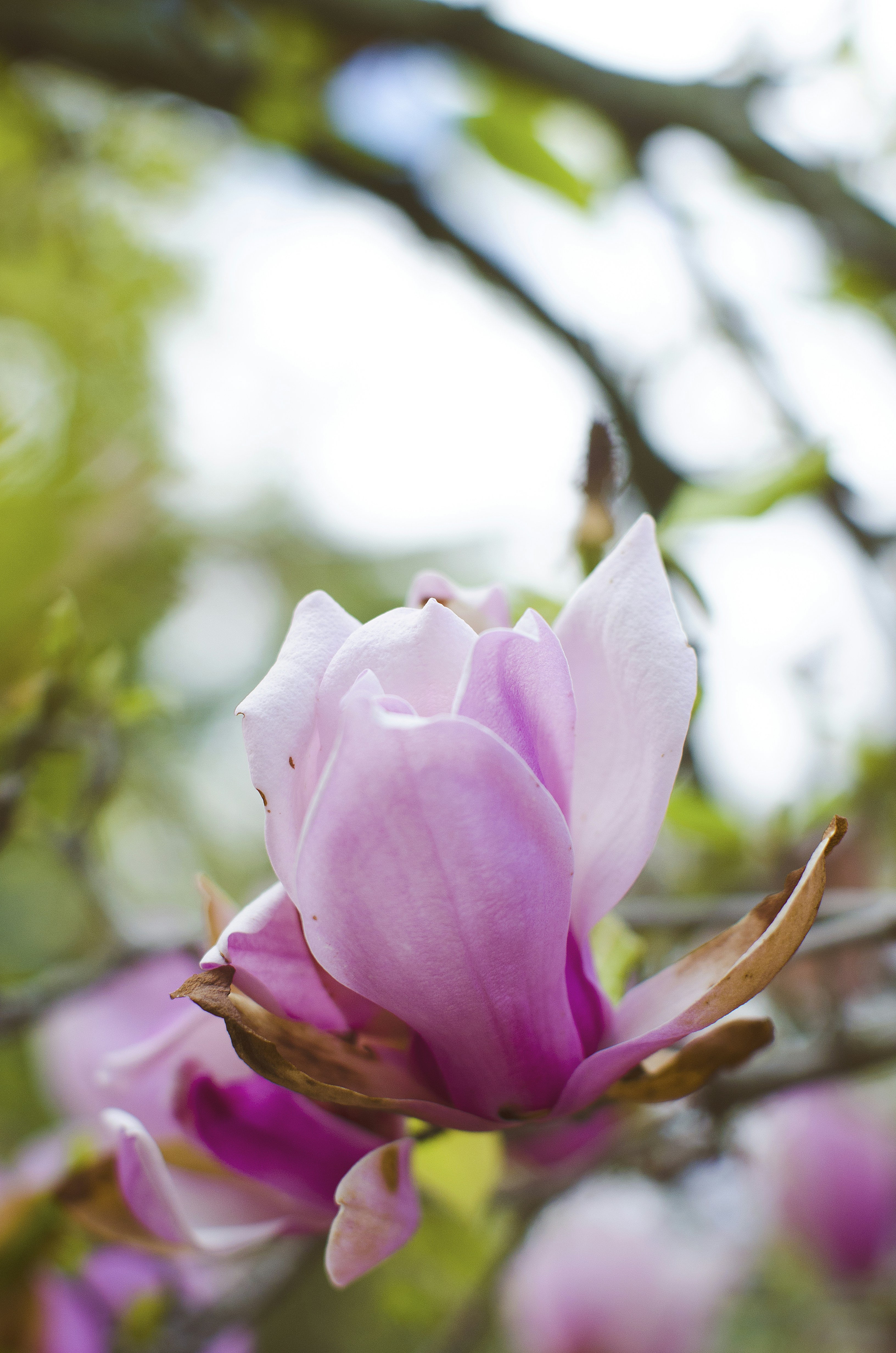 Photo by eissphotography