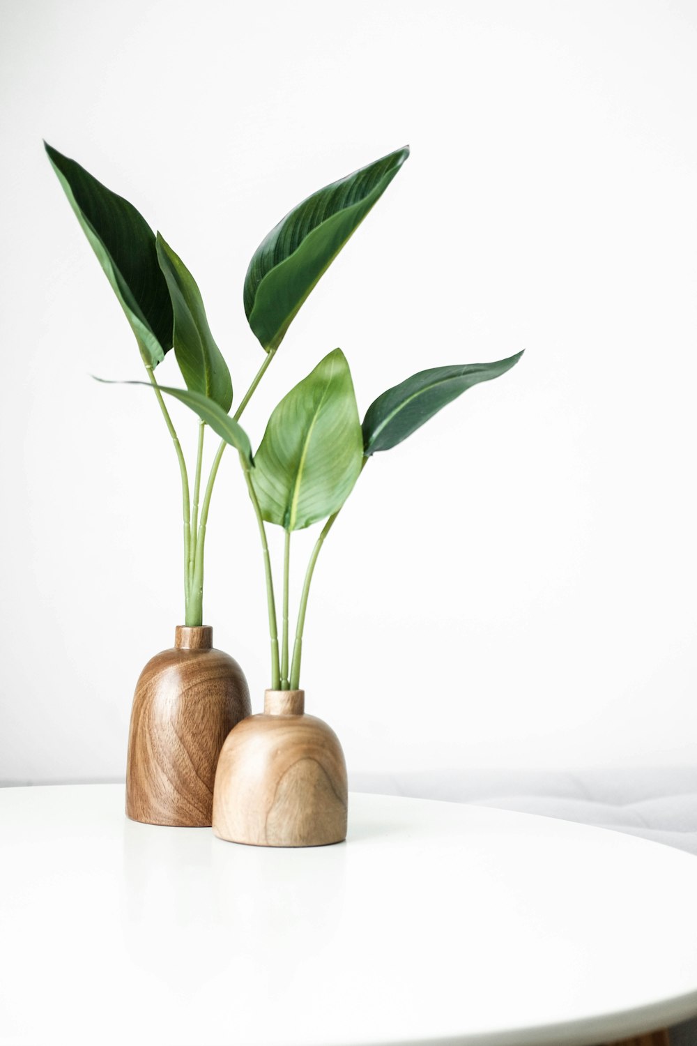 茶色の木の花瓶に緑の植物