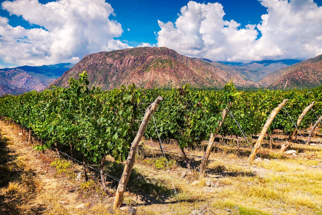 Hill station photo spot Salta Jujuy