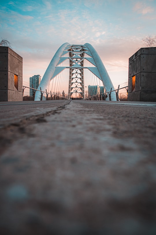 brown concrete bridge under gray sky during daytime in Humber Bay Arch Bridge Canada