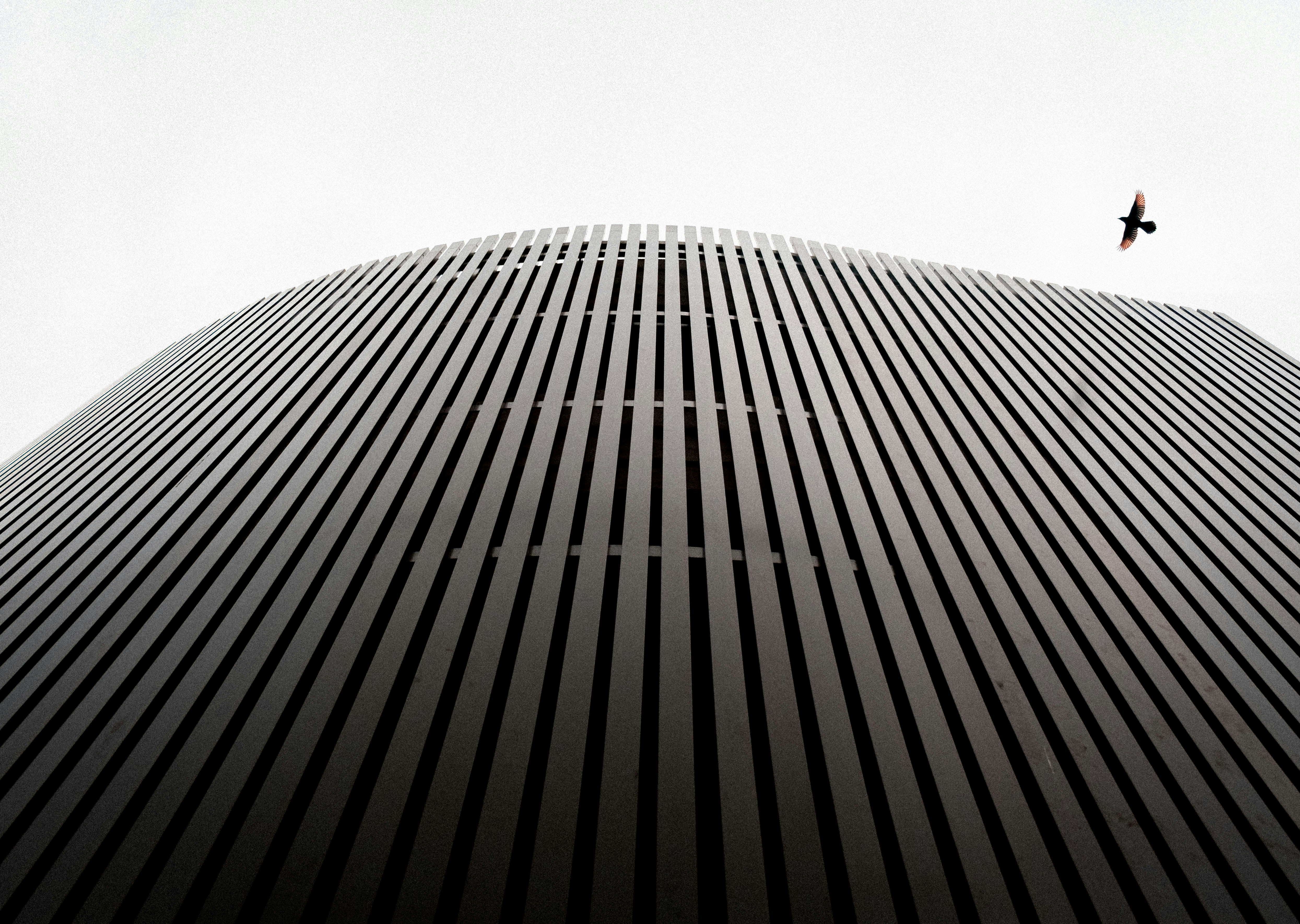 Winter 2026 Tyre Buying Guide: AR Fitment, Sustainability Labels, and 3D‑Printed Treads