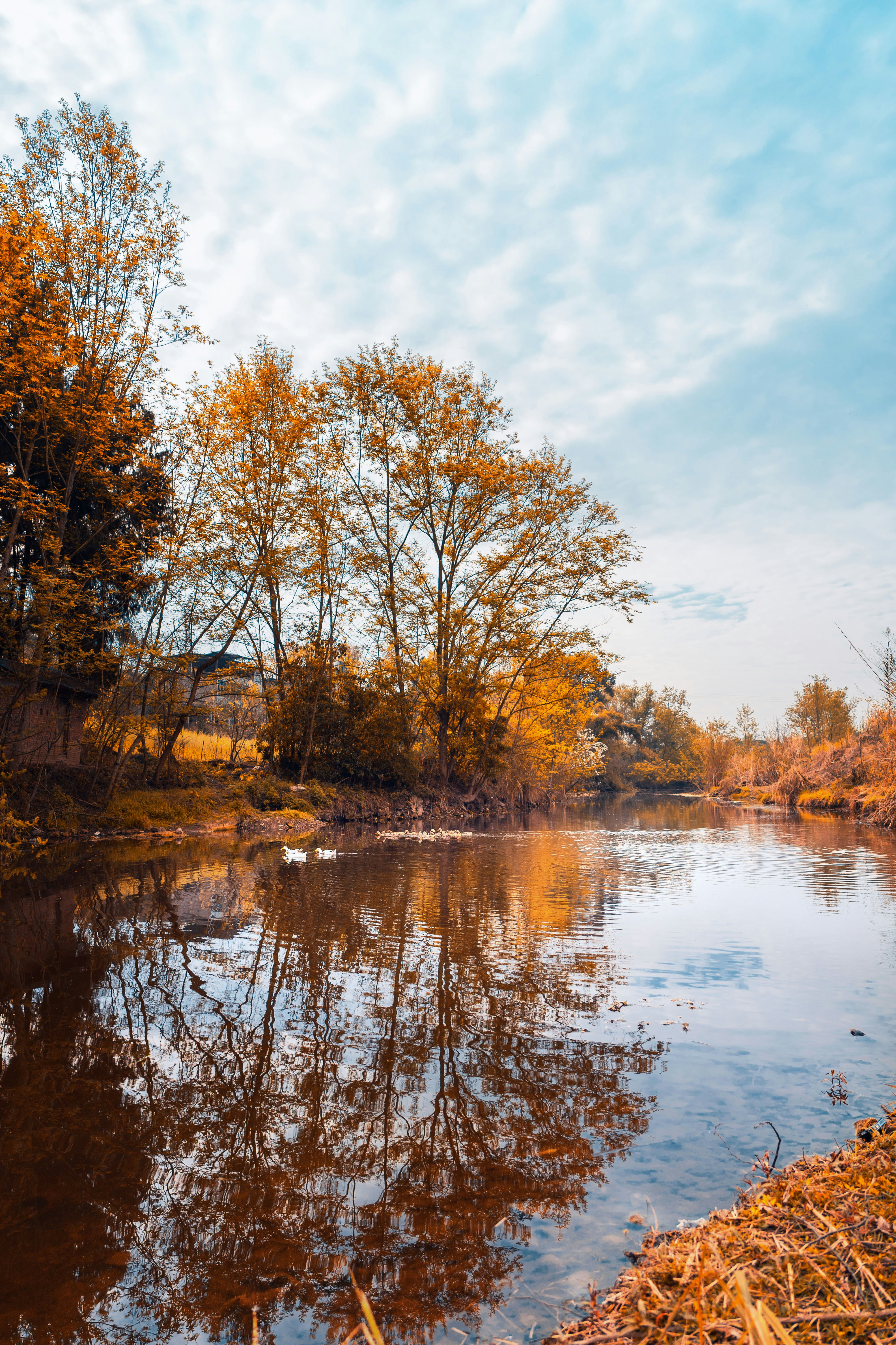 Photo by chengfengrecord