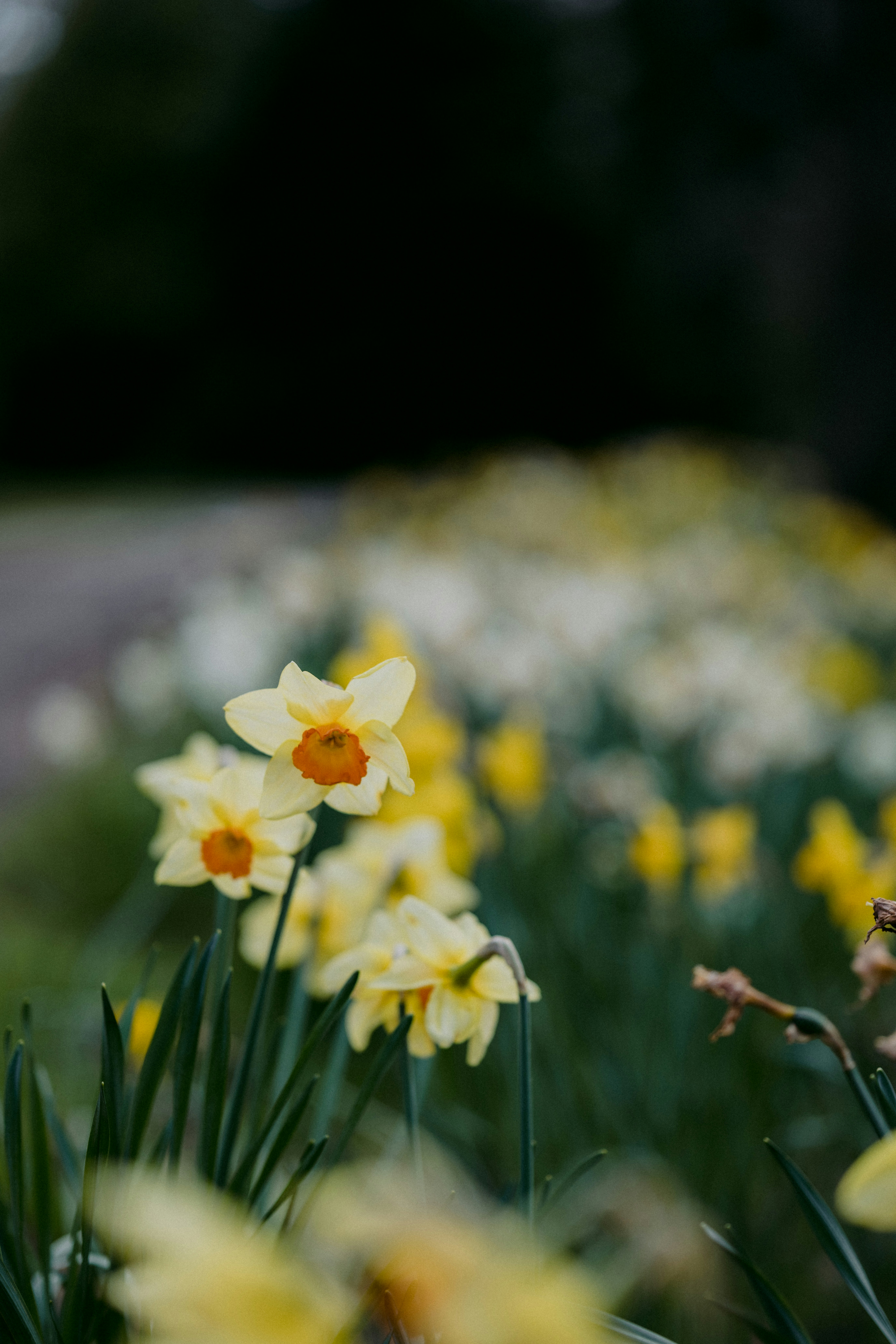 Photo by anniespratt