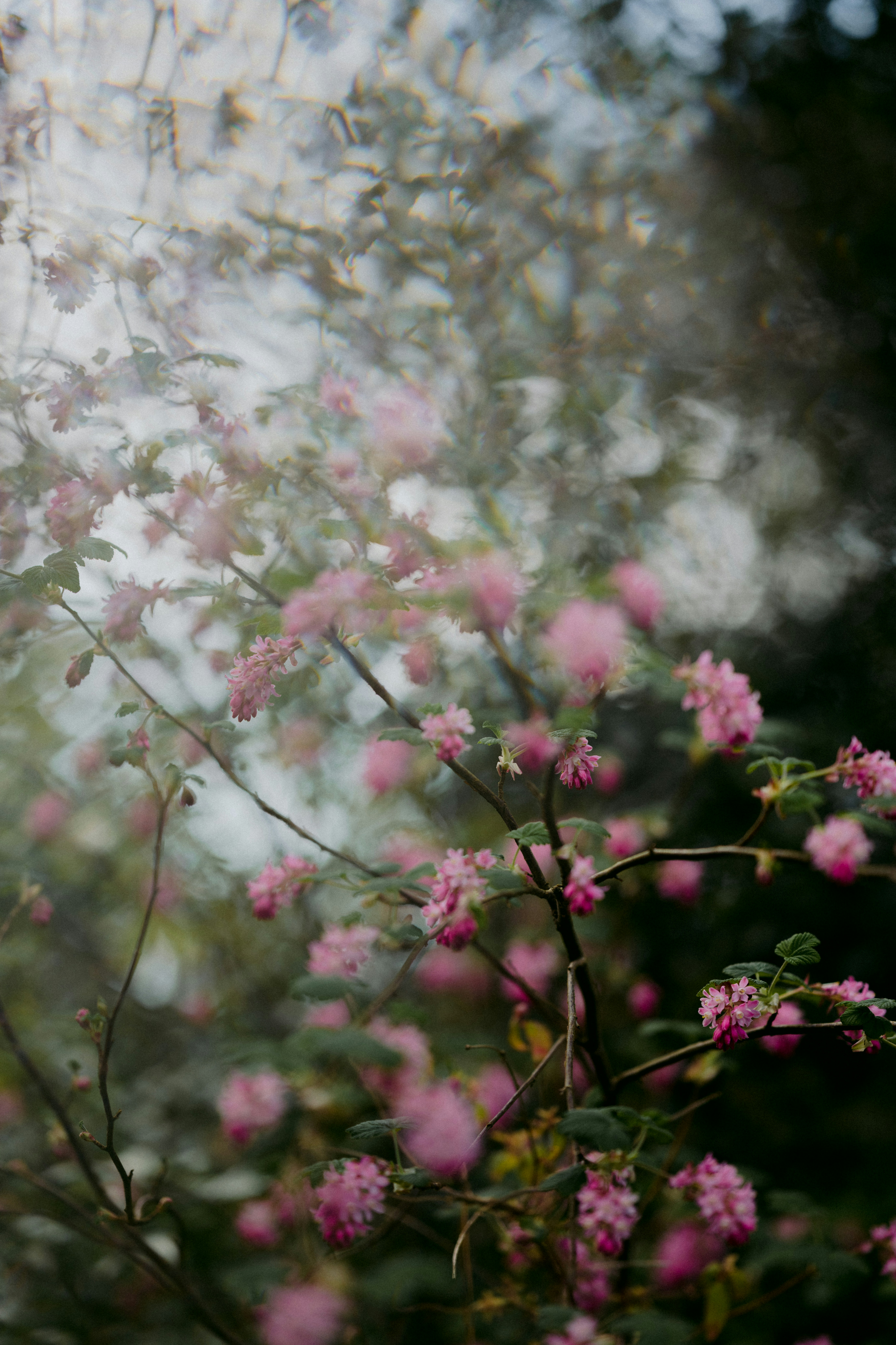 Photo by anniespratt