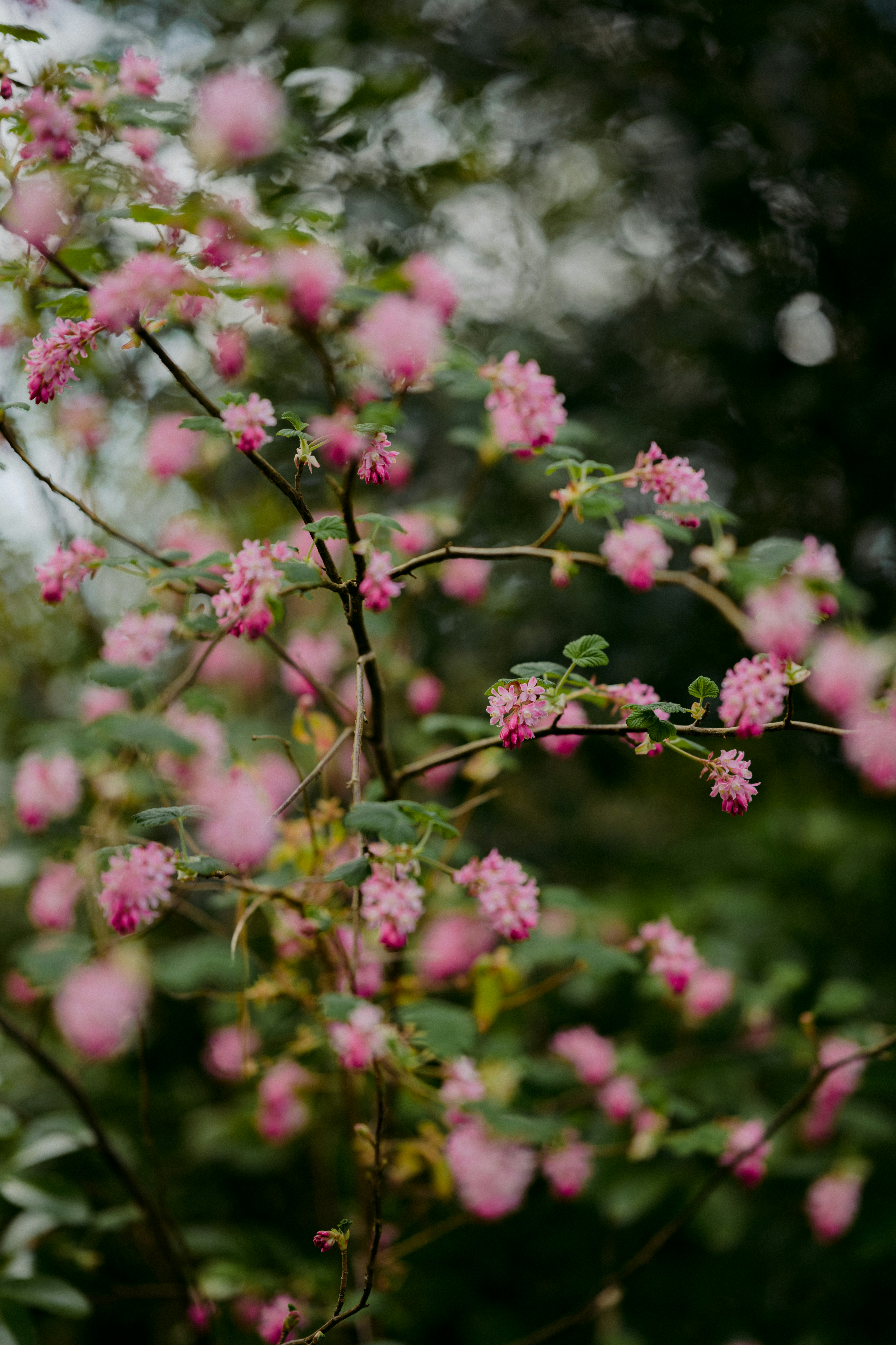 Photo by anniespratt