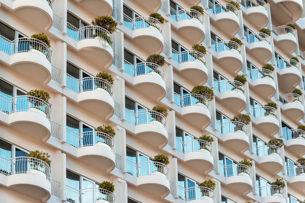 white concrete building with green trees