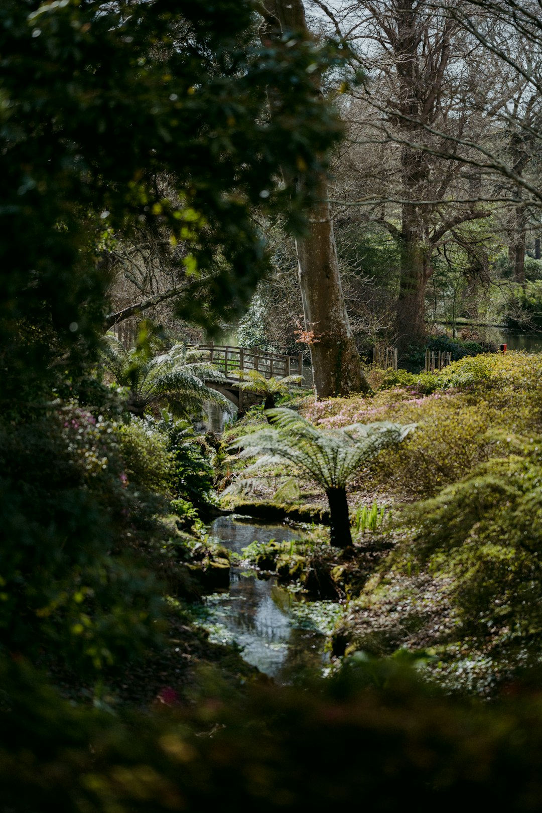 green grass and trees beside river