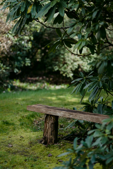 A cozy outdoor nook featuring a wooden bench stool beside a lush garden.