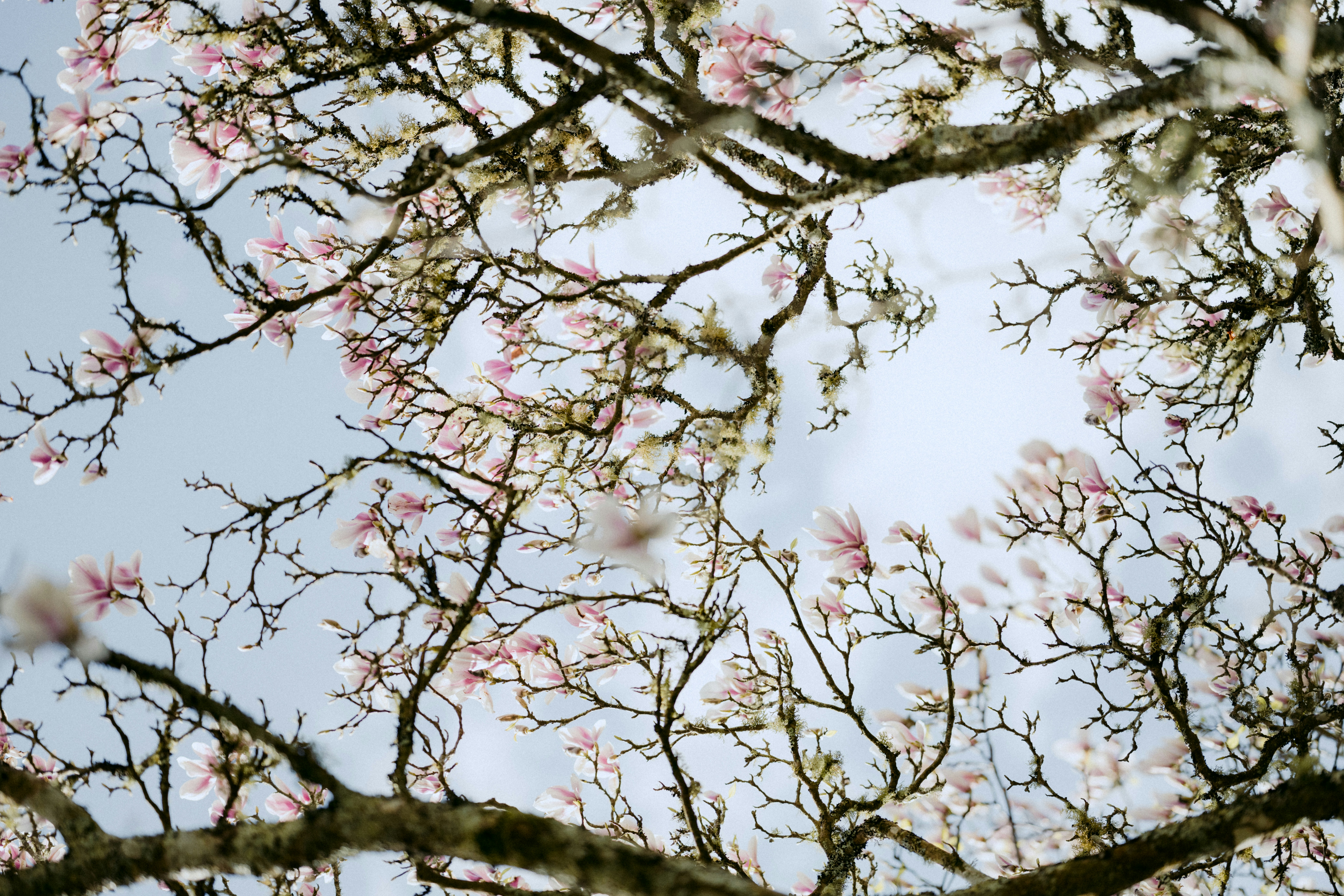 Photo by anniespratt